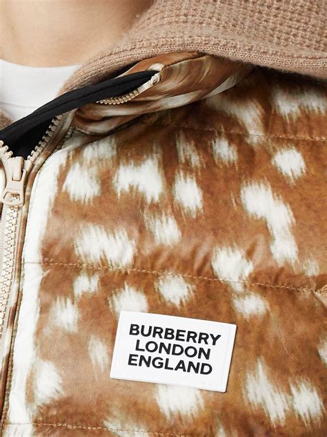 burberry deer puffer